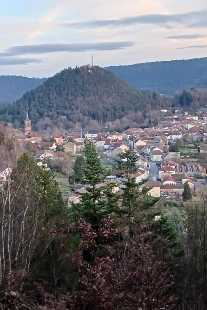 Charmant Gite, Au Calme, Avec Vue Imprenable Sur La Nature Environnante Deycimont Ngoại thất bức ảnh