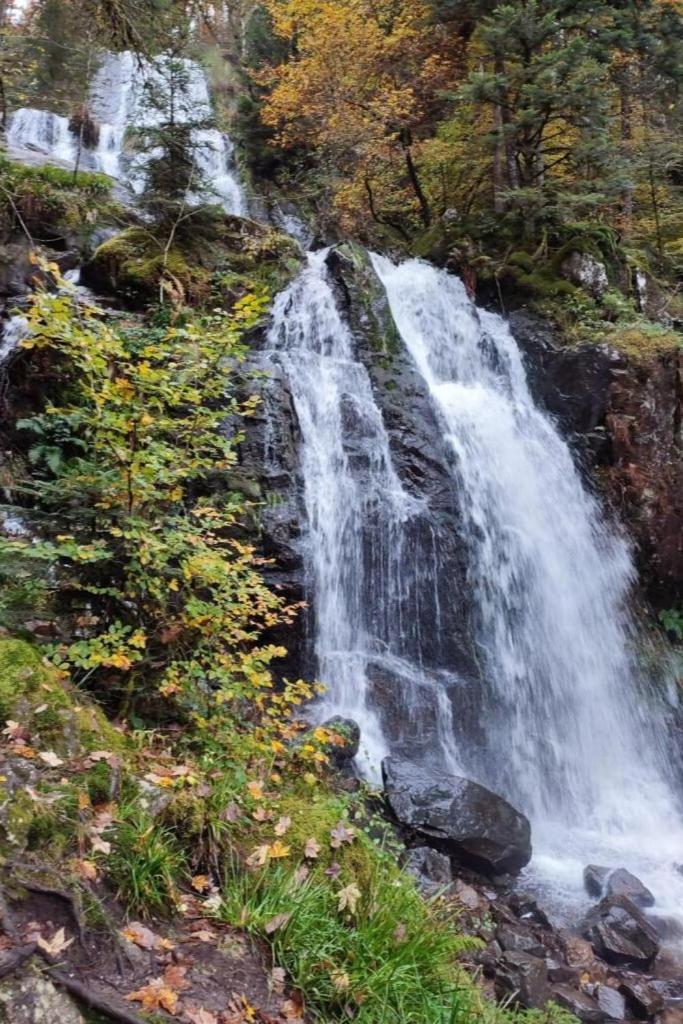 Charmant Gite, Au Calme, Avec Vue Imprenable Sur La Nature Environnante Deycimont Ngoại thất bức ảnh