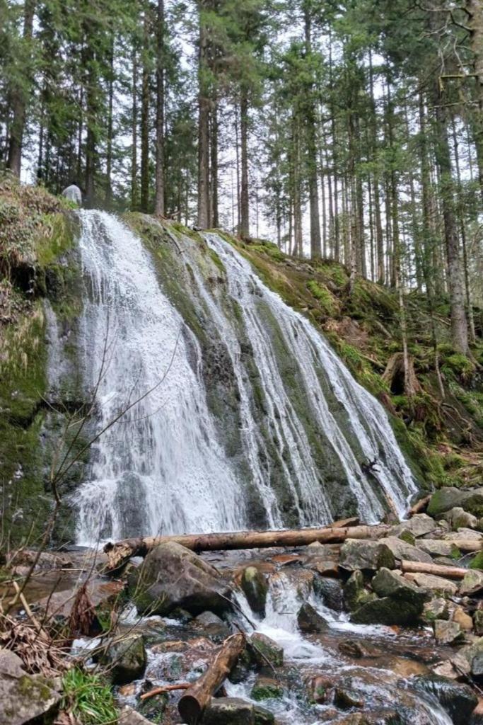 Charmant Gite, Au Calme, Avec Vue Imprenable Sur La Nature Environnante Deycimont Ngoại thất bức ảnh